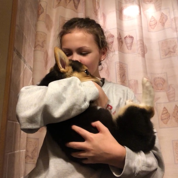 kenzdoo